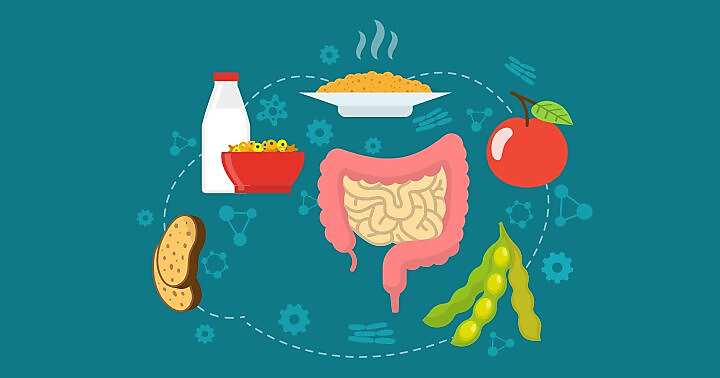 Intestino e cibi ricchi di fibra