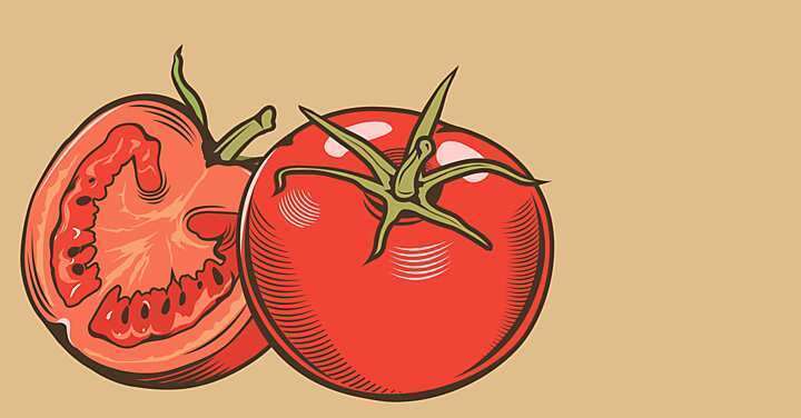 Disegno pomodori vintage