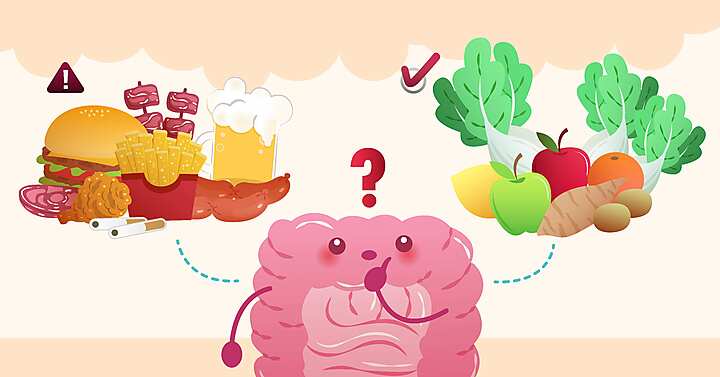 intestino e dieta