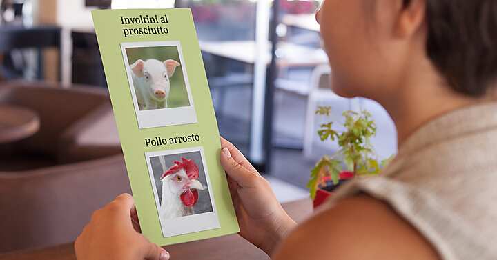 Menu con foto di animali